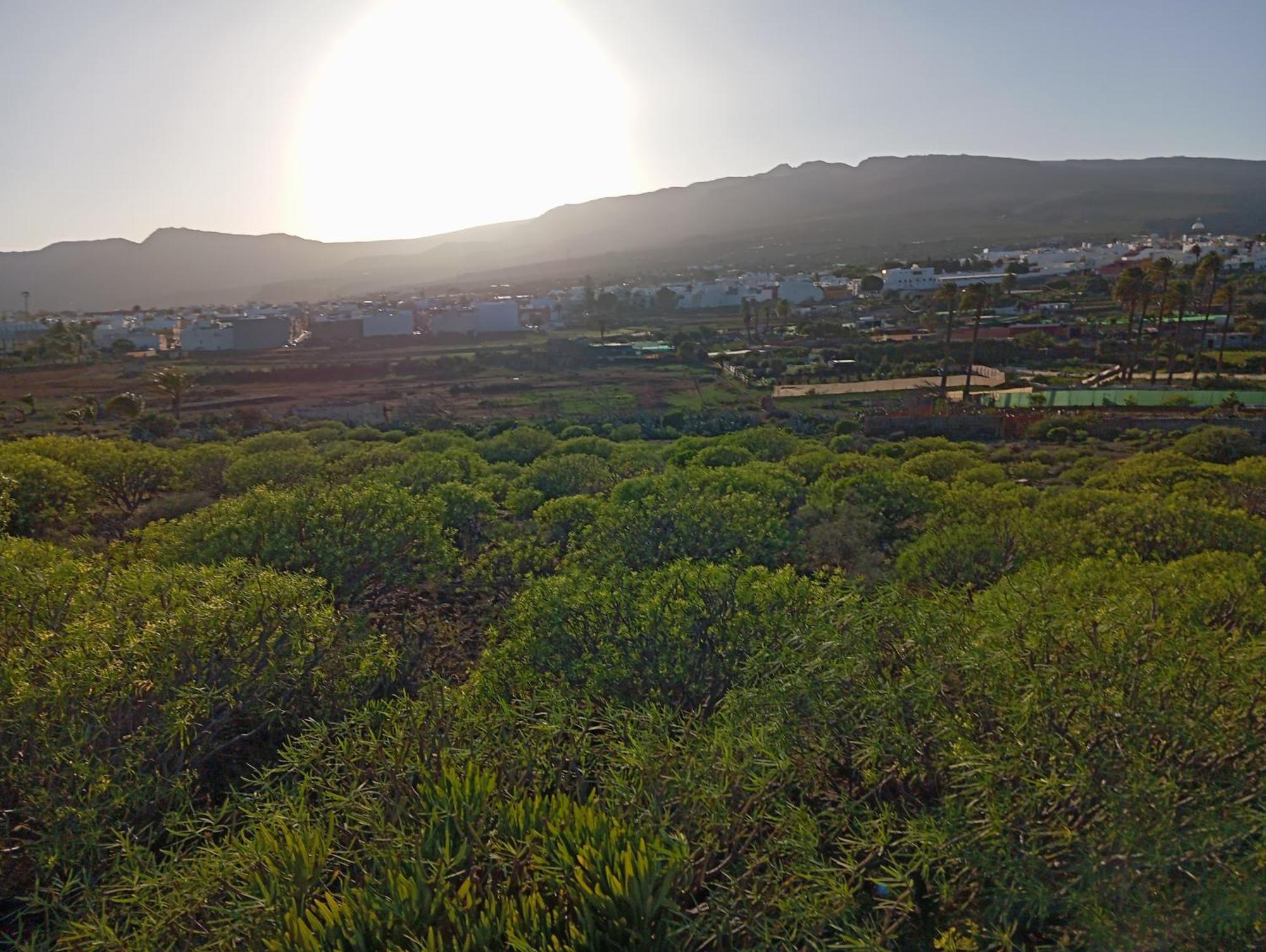 Casa Grande Finca El Calabres Agüimes 외부 사진